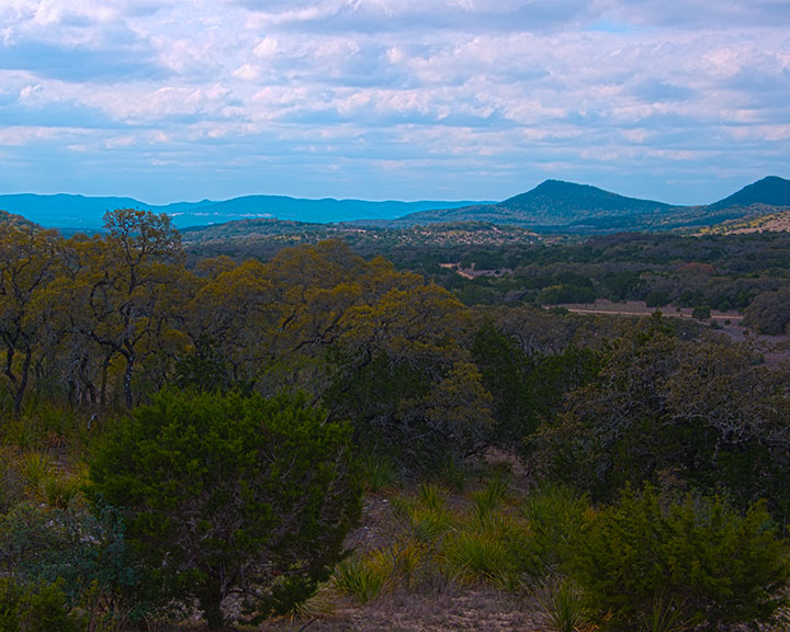 Oak and juniper woodland stretching across the hills of Hill Country State Natural Area near Bandera